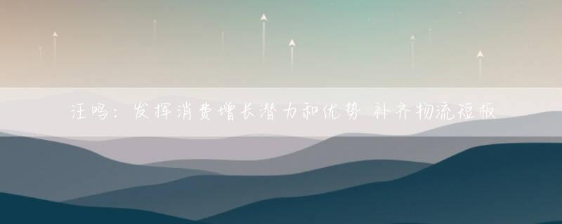 汪鸣：发挥消费增长潜力和优势 补齐物流短板